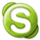 Skype Call