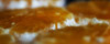 Orange Slices